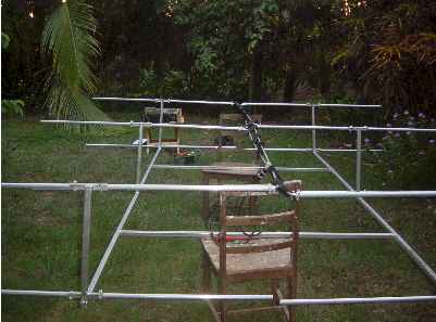 newant2.jpg (16510 bytes)