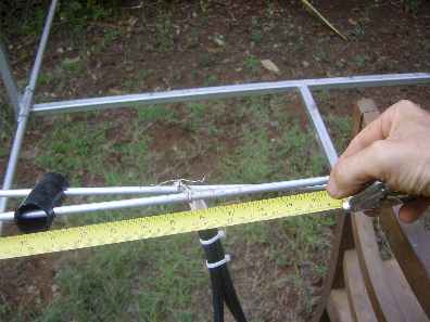 newant4.jpg (15180 bytes)