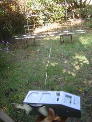 newant5.jpg (19582 bytes)