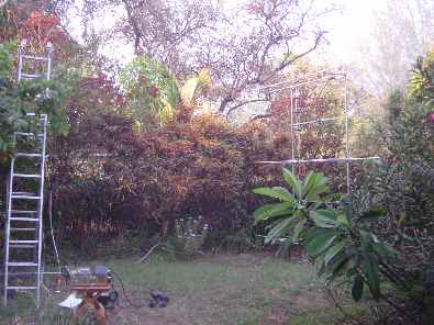 newant6.jpg (20617 bytes)