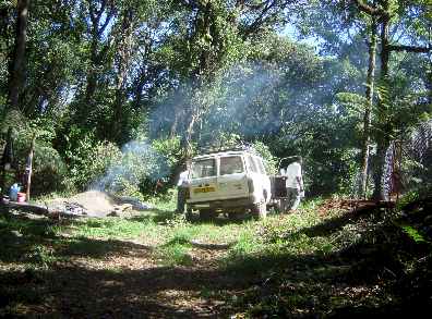 newant7.jpg (28481 bytes)