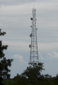 Bondwa20.jpg (15887 Byte)