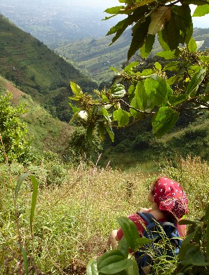 Bondwa4.jpg (69211 Byte)