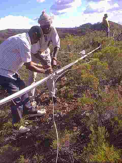 wpe7.jpg (45934 bytes)