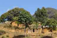 Digi8.jpg (3856 bytes)