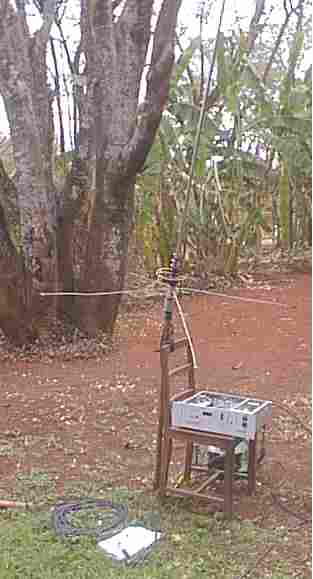 ant_test.jpg (15598 bytes)