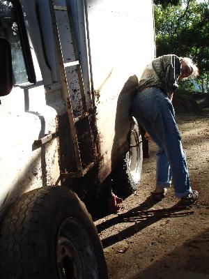 Mlalo2.jpg (28373 Byte)