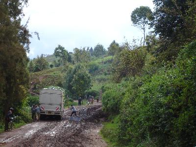 Mlalo6.jpg (31865 Byte)