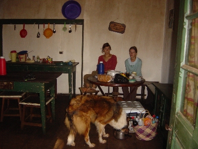 Seguruma1.jpg (113573 bytes)