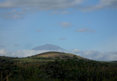 Moduli1.jpg (21880 Byte)