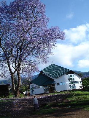 Monduli2.jpg (36240 Byte)